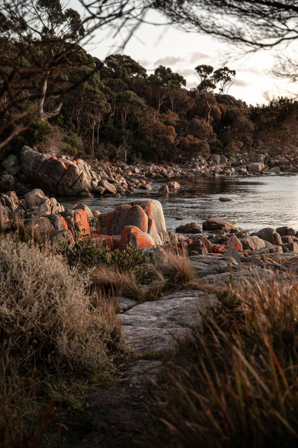 Driftwood Rest Binalong Bay Sleeps 4 Villa Luaran gambar