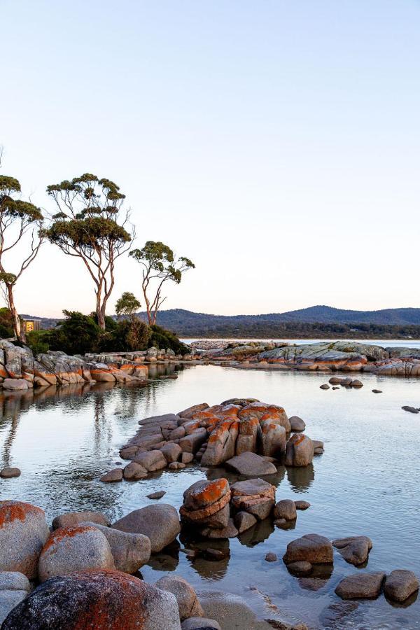 Driftwood Rest Binalong Bay Sleeps 4 Villa Luaran gambar